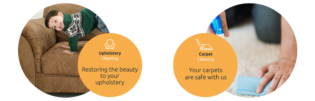 Upholstery Cleaning | Carpet Cleaning