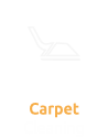 Wall-to-Wall Carpet Cleaning Service