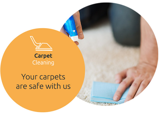 Carpet Cleaning