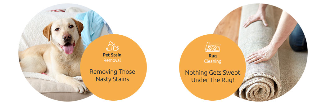 Pet Stain Removal | Rug Cleaning