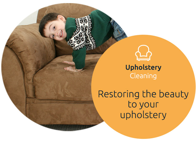 Upholstery Cleaning